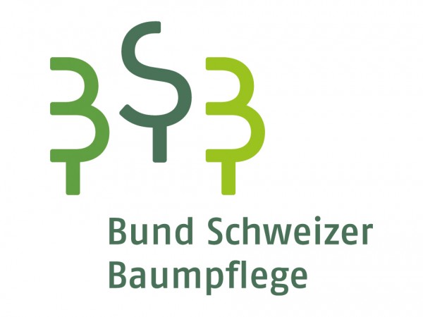 Bsb Logo Rgb