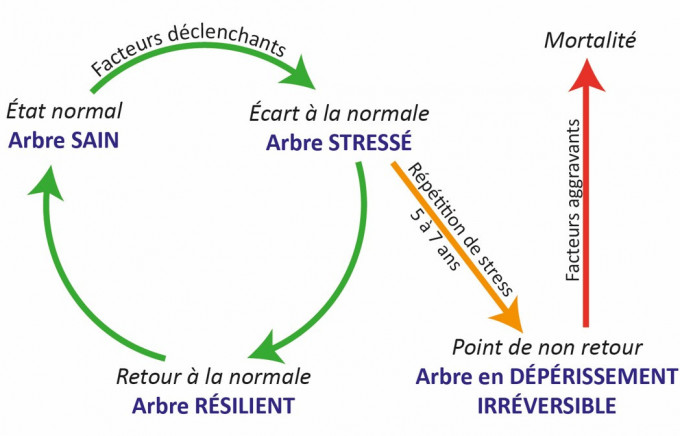 Archi Cycle Deperissement 2 1
méthode Archi Drénou