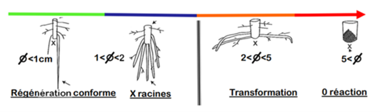 2 3 Figure 3